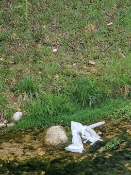 Koroška ribiška družina (9)